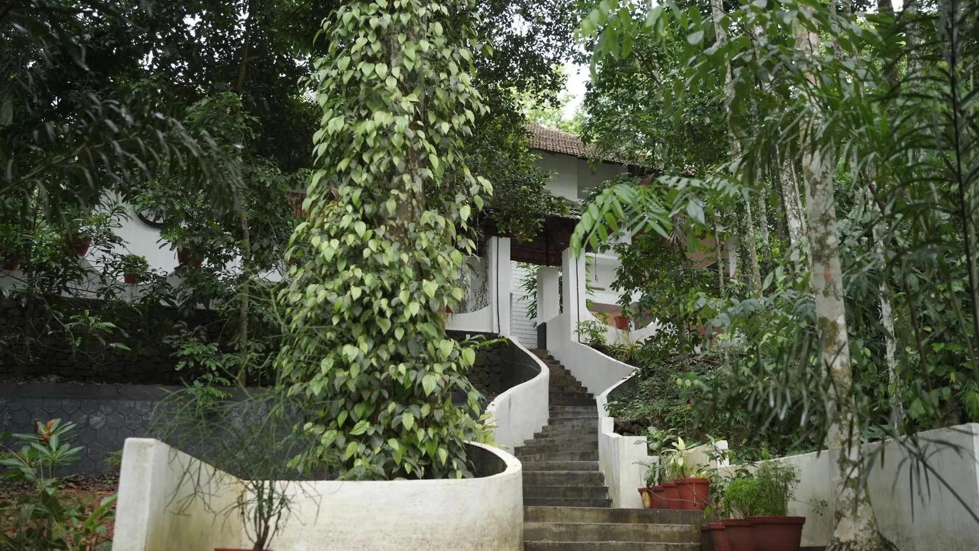 Vintage Valley Heritage Home Thodupuzha Σπίτι διακοπών